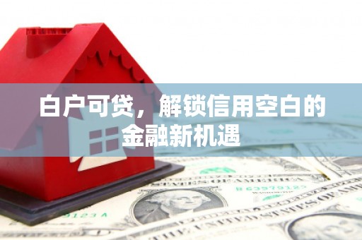 海陵白户可贷，解锁信用空白的金融新机遇