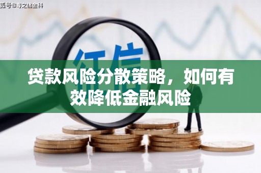 海陵贷款风险分散策略，如何有效降低金融风险