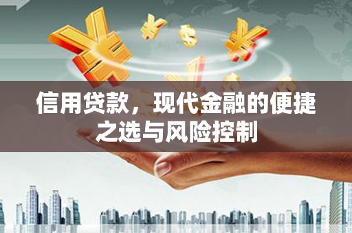 海陵信用贷款，现代金融的便捷之选与风险控制