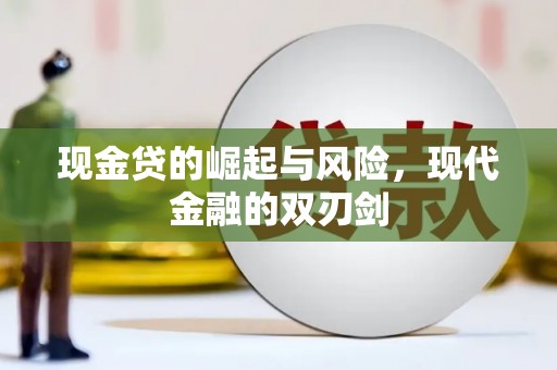 海陵现金贷的崛起与风险，现代金融的双刃剑