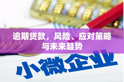 海陵逾期贷款，风险、应对策略与未来趋势