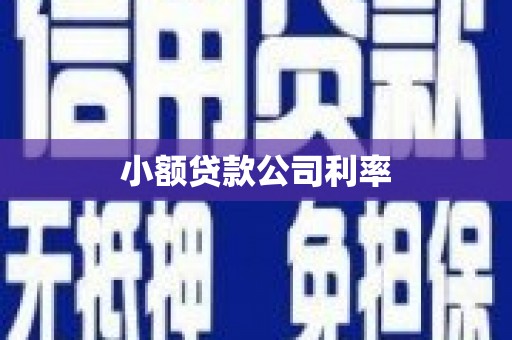 海陵小额贷款公司利率