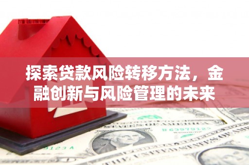 海陵探索贷款风险转移方法，金融创新与风险管理的未来