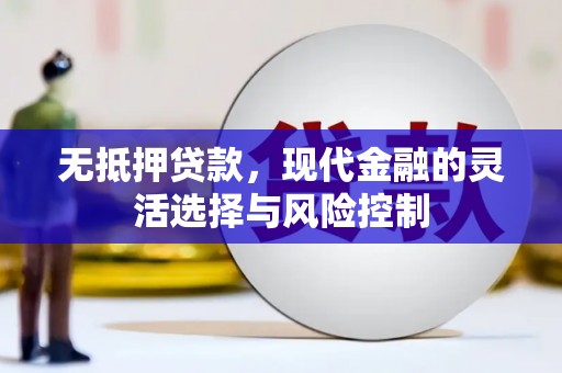 海陵无抵押贷款，现代金融的灵活选择与风险控制