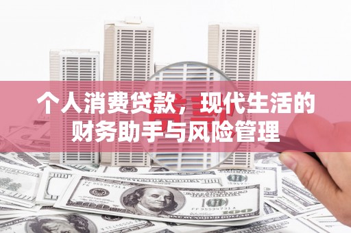 海陵个人消费贷款，现代生活的财务助手与风险管理