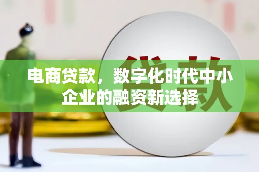 海陵电商贷款，数字化时代中小企业的融资新选择
