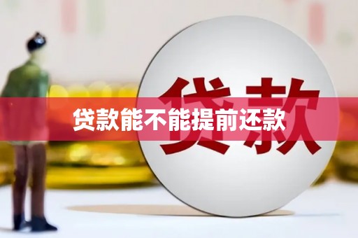 海陵贷款能不能提前还款