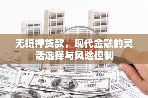 海陵无抵押贷款，现代金融的灵活选择与风险控制