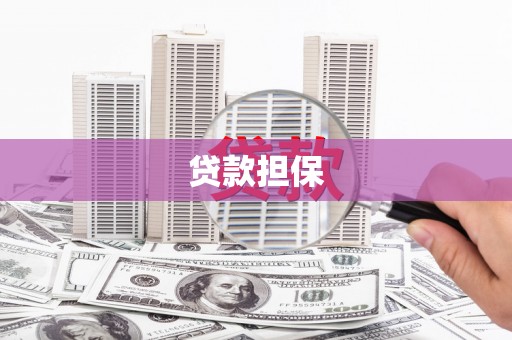 海陵贷款担保