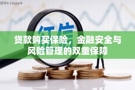 海陵贷款购买保险，金融安全与风险管理的双重保障