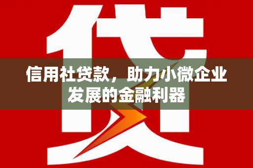 海陵信用社贷款，助力小微企业发展的金融利器