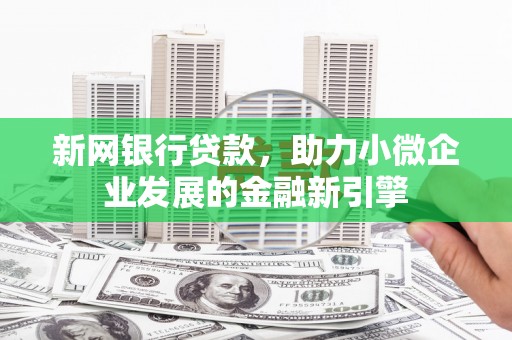 海陵新网银行贷款，助力小微企业发展的金融新引擎