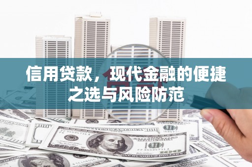 海陵信用贷款，现代金融的便捷之选与风险防范