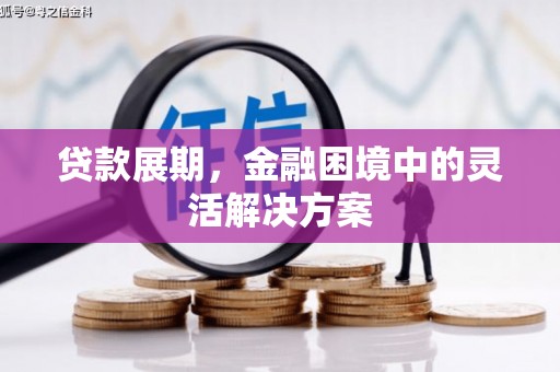 海陵贷款展期，金融困境中的灵活解决方案