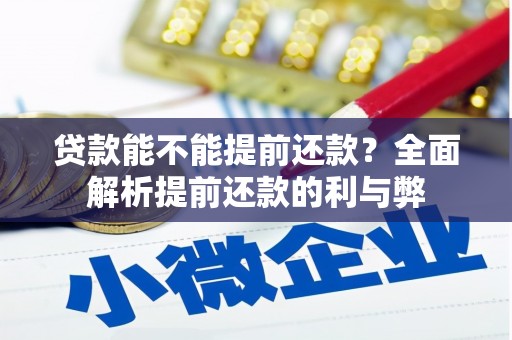 海陵贷款能不能提前还款？全面解析提前还款的利与弊