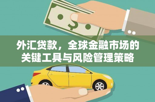 海陵外汇贷款，全球金融市场的关键工具与风险管理策略