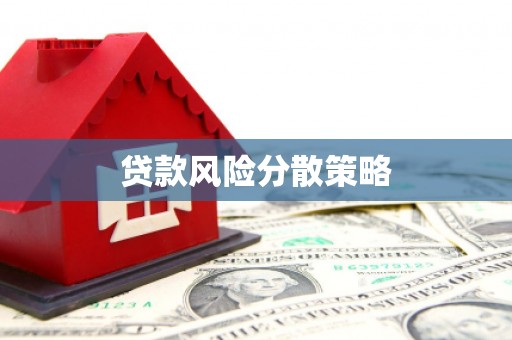 海陵贷款风险分散策略