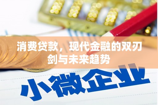海陵消费贷款，现代金融的双刃剑与未来趋势