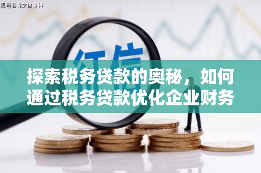 海陵探索税务贷款的奥秘，如何通过税务贷款优化企业财务