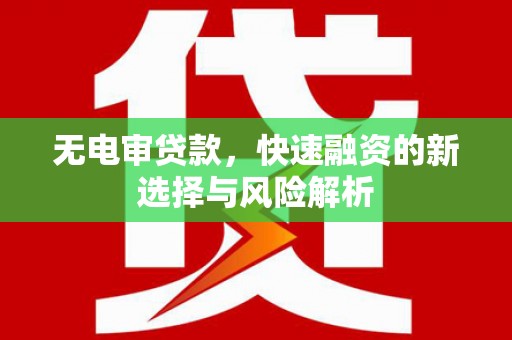 海陵无电审贷款，快速融资的新选择与风险解析