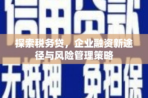 海陵探索税务贷，企业融资新途径与风险管理策略