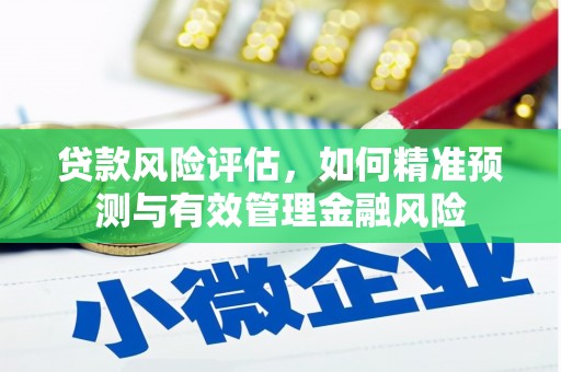 海陵贷款风险评估，如何精准预测与有效管理金融风险