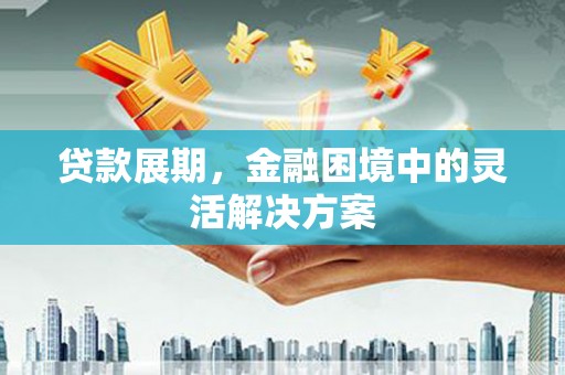 海陵贷款展期，金融困境中的灵活解决方案