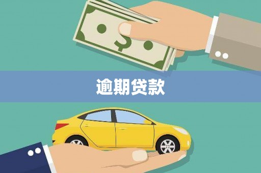 海陵逾期贷款