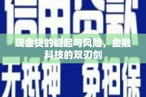 海陵现金贷的崛起与风险，金融科技的双刃剑