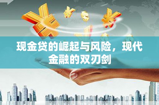 海陵现金贷的崛起与风险，现代金融的双刃剑