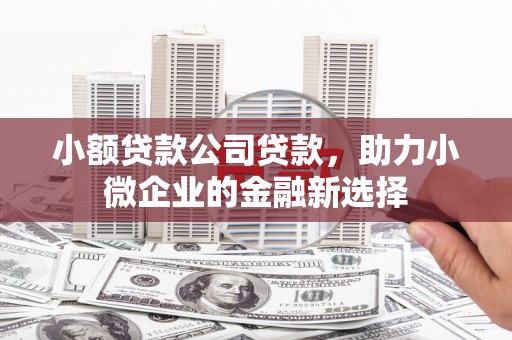 海陵小额贷款公司贷款，助力小微企业的金融新选择