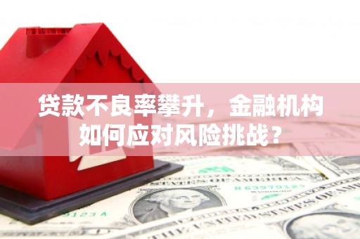 海陵贷款不良率攀升，金融机构如何应对风险挑战？