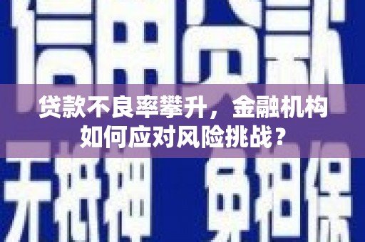 海陵贷款不良率攀升，金融机构如何应对风险挑战？