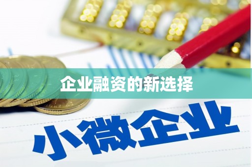 海陵企业融资的新选择