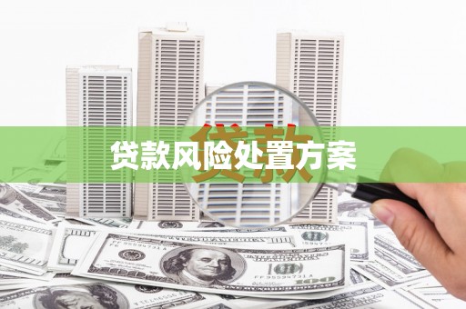 海陵贷款风险处置方案