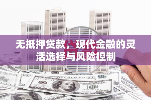 海陵无抵押贷款，现代金融的灵活选择与风险控制