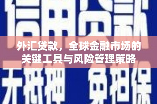 海陵外汇贷款，全球金融市场的关键工具与风险管理策略