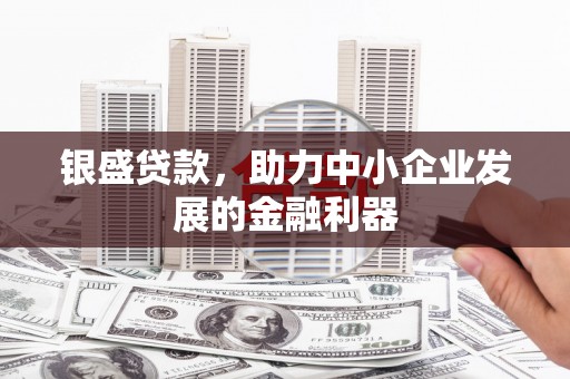 海陵银盛贷款，助力中小企业发展的金融利器