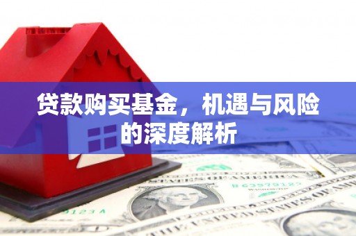 海陵贷款购买基金，机遇与风险的深度解析