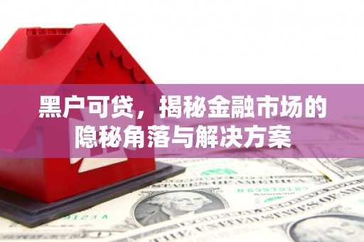 海陵黑户可贷，揭秘金融市场的隐秘角落与解决方案