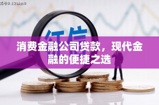 海陵消费金融公司贷款，现代金融的便捷之选