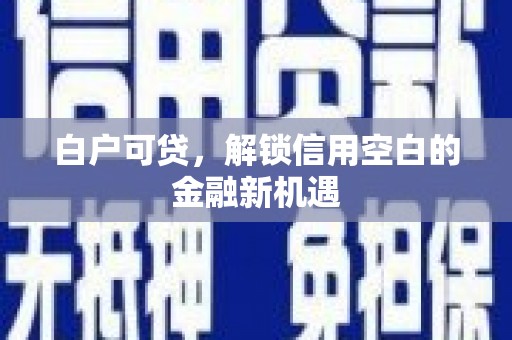 海陵白户可贷，解锁信用空白的金融新机遇