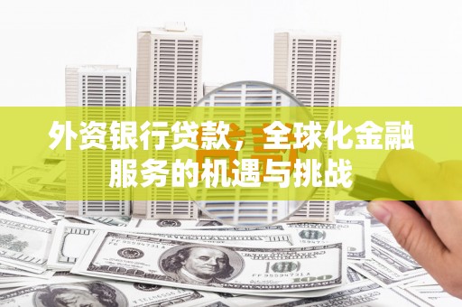 海陵外资银行贷款，全球化金融服务的机遇与挑战