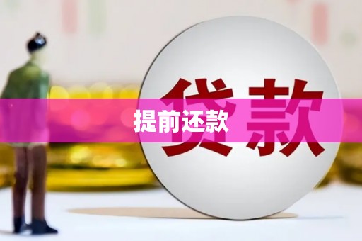 海陵提前还款