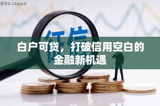 海陵白户可贷，打破信用空白的金融新机遇