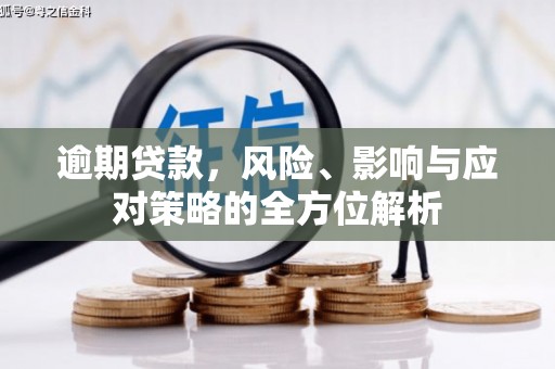 海陵逾期贷款，风险、影响与应对策略的全方位解析