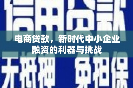 海陵电商贷款，新时代中小企业融资的利器与挑战