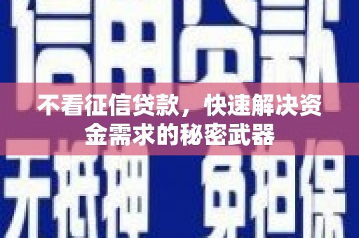 海陵不看征信贷款，快速解决资金需求的秘密武器
