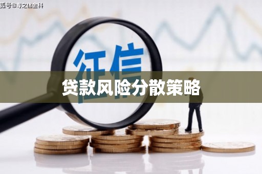 海陵贷款风险分散策略