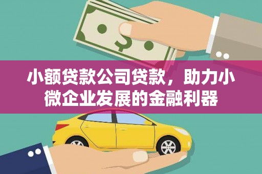 海陵小额贷款公司贷款，助力小微企业发展的金融利器
